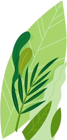 Nutrinanga
