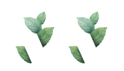 Nutrinanga