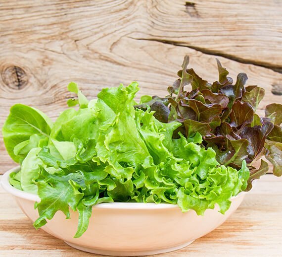 Nutrinanga